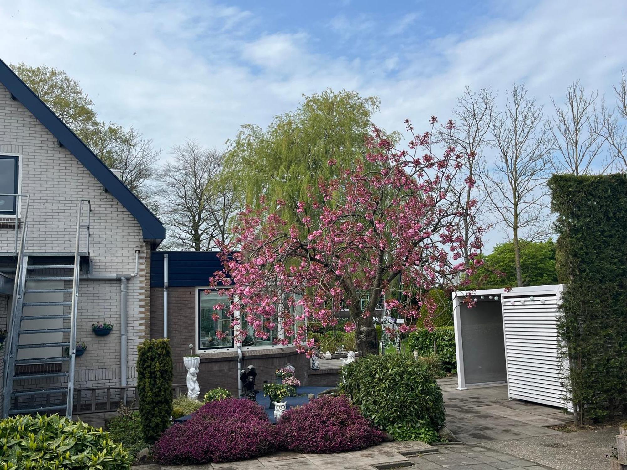 B&B Dol - Fijn Benningbroek Esterno foto